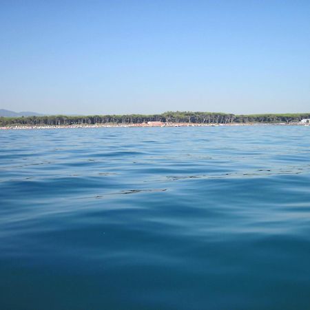 Hotel Il Ponte Cecina  Εξωτερικό φωτογραφία