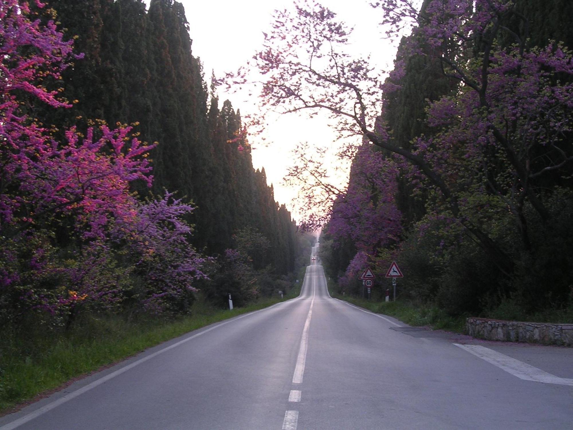 Hotel Il Ponte Cecina  Εξωτερικό φωτογραφία